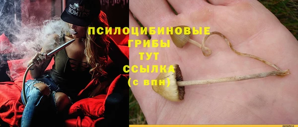 сатива Красноперекопск