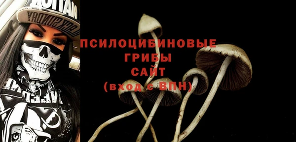твердый Краснотурьинск
