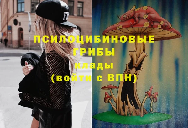 сатива Красноперекопск