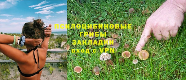 MESCALINE Краснослободск
