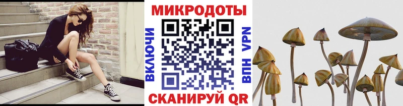 Галлюциногенные грибы MAGIC MUSHROOMS  MEGA зеркало  Медвежьегорск 